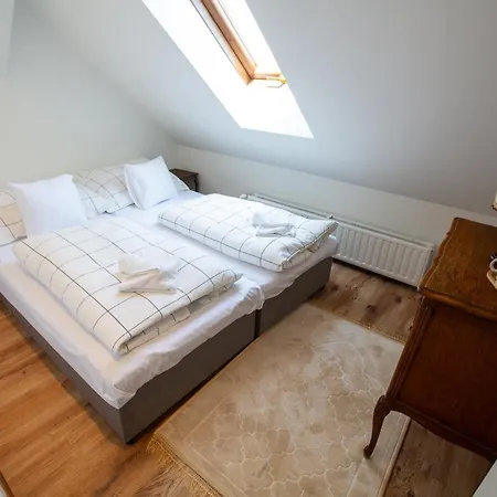 Penzión pre hostí -villa Vintage -apartman Art C 109 3*